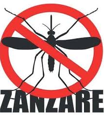 Lotta alle zanzare – Segnalazione primo caso di West Nile Virus nel territorio dell'Azienda ULSS n. 5 Polesana 