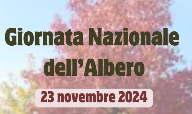 23 novembre 2024: Giornata Nazionale dell'Albero